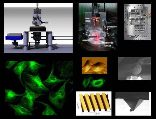 prototipo-de-microscopio-combinado-optico